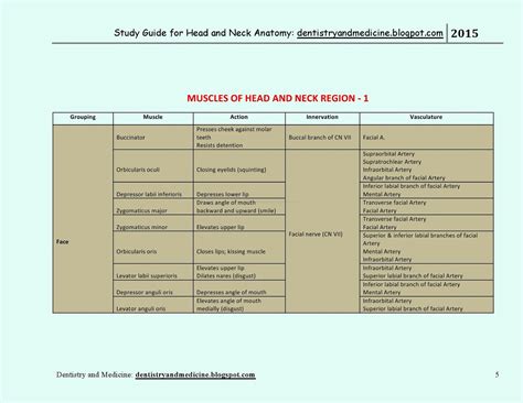 Dentistry And Medicine Study Guide For Head And Neck Anatomy Muscles