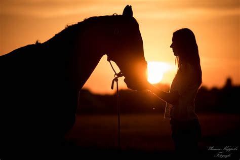 Zusammen In Den Sonnenuntergang Foto And Bild Tiere Haustiere Pferde