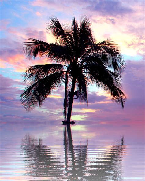Palm Tree Reflection — Shimmer Stitch