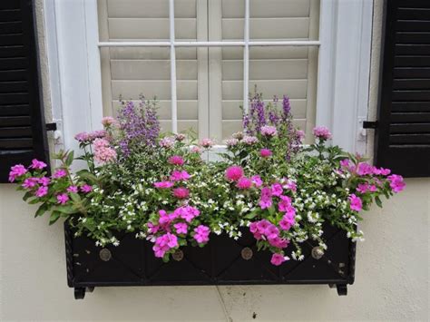 Lovely Window Boxes To Beautify Your House Exterior Top Dreamer