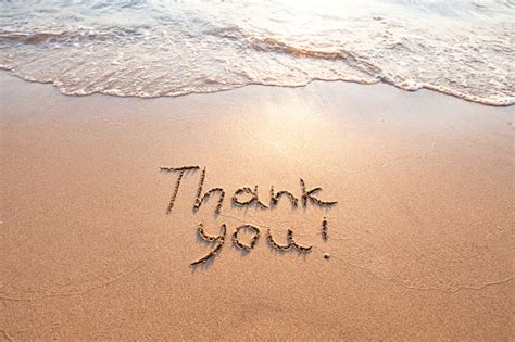 Thank You Gratitude Concept Beautiful Card Stock Photo Download Image