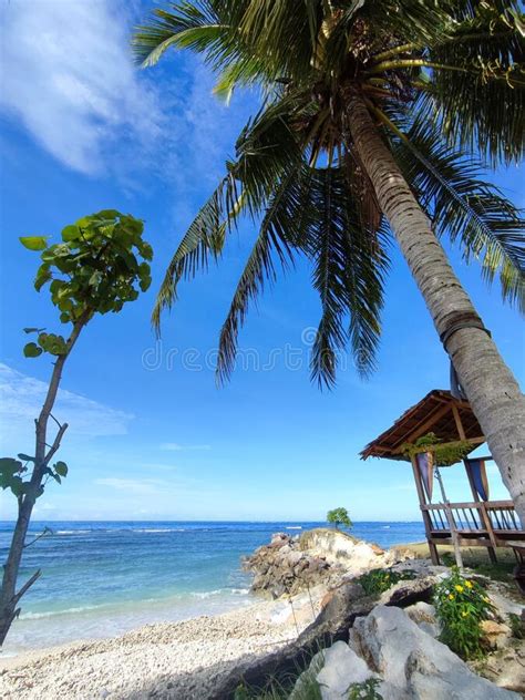 Beautiful Tropical Beach With Coconut Trees Coral Sand And Blue Ocean