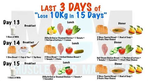 10 Day Liquid Diet Plan Cvinter