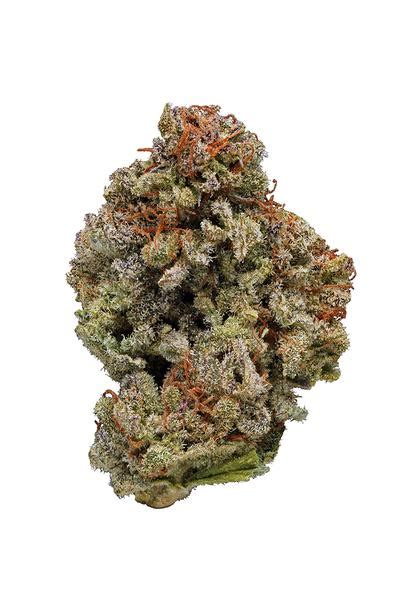 Berry White Strain Hybrid Cannabis Review Cbd Thc Terpenes Hytiva