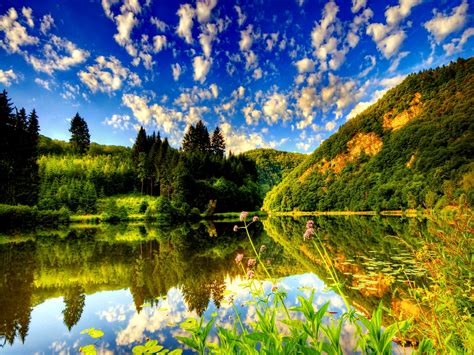 Free Download Best Nature Desktop Background 1920x1080 For Your