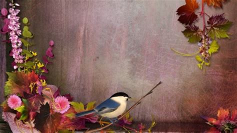 See more of birds and flowers wallpaper on facebook. Fall Flowers with Bird - Birds & Animals Background ...