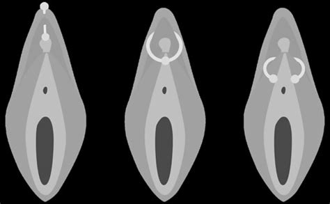 Clitoris Clit Piercing Diagram From The Cunnilinguist Flickr