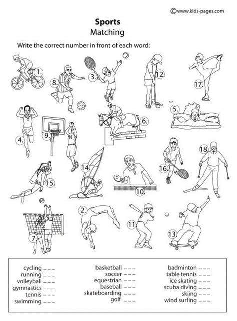 Free Printable Physical Education Worksheets
