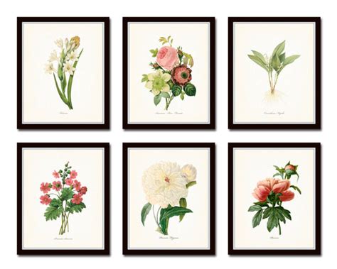 Botanical Garden Floral Print Set No 21 Bellebotanica
