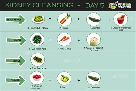 Flushing out waste and toxins prevents potential infection and reduce the risk for bladder problems. Kidney Cleansing: Natural 7-Day Diet Plan For Detox