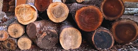 Lumber — Timber Ridge Wood Products