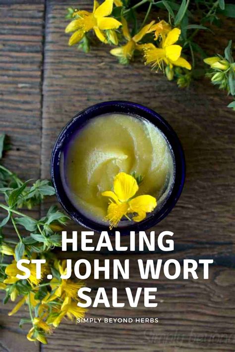 Herbal Healing Salve Recipe Healing Salve Recipe Herbal Healing