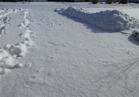 Snow Covered Driveway Stock Photos Download 1035 Royalty Free Photos