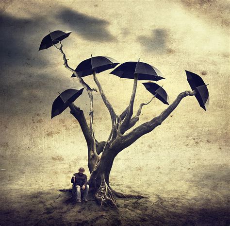Waiting Man And The Umbrella Tree Photograph By Hari Sulistiawan Fine