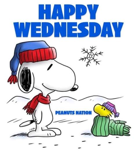 Happy Wednesday Funny Cartoon Quotes Snoopy Quotes Super Funny Quotes