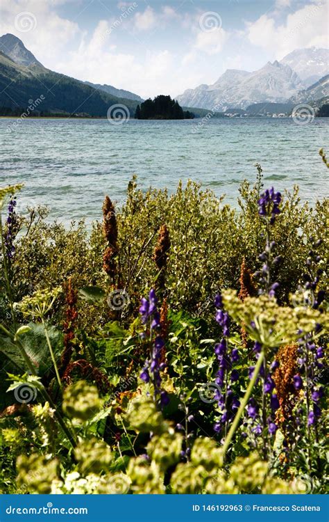 Walking Around Sils Lake Upper Engadine Valley Switzerland Stock