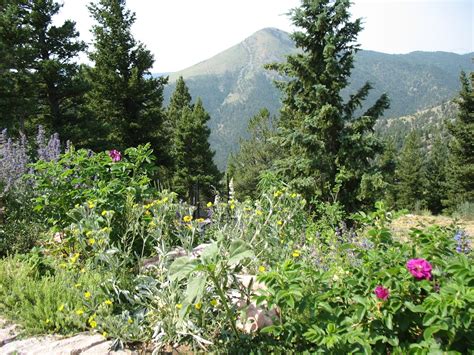 Colorado Mountain Gardener Mountain Gardening Blog Opens For Jeffco