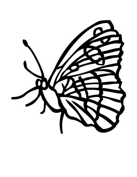 Butterfly Wings Coloring Pages Sketch Coloring Page