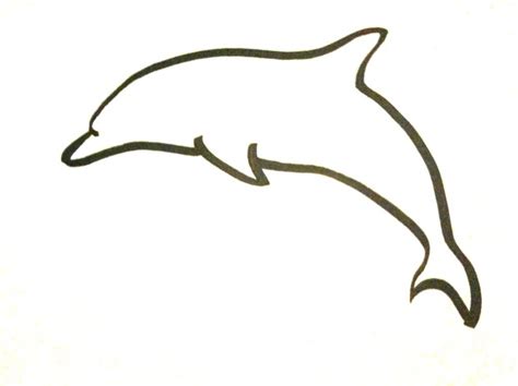 Free Dolphin Drawing Pictures Download Free Dolphin Drawing Pictures