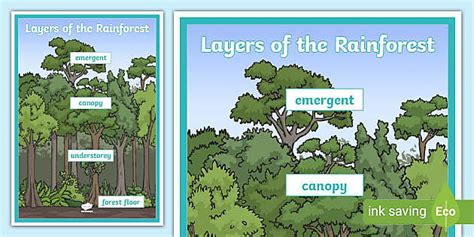 Layers Of The Rainforest Large Display Poster Twinkl