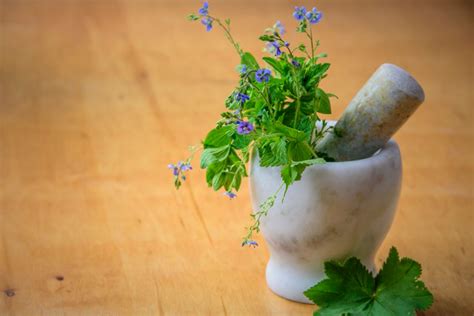 6 Best Herbs For Gout What Herbs Are Good For Gout