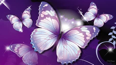 Cool Butterfly Backgrounds Wallpaper Cave