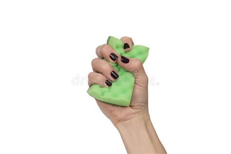 Woman Hand Holding Squeezing Green Sponge Isolated Over Whi Stock