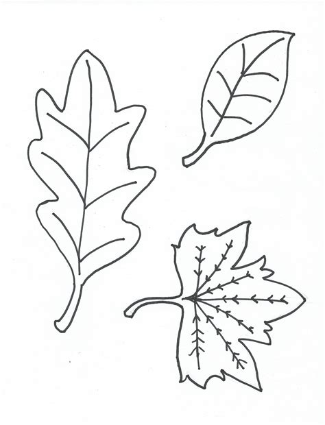 Printable Coloring Pages Free Samples And Free Stuff