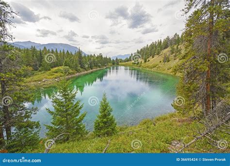 Quiet Mountain Pond In The Wilderness Stock Photo Image Of National
