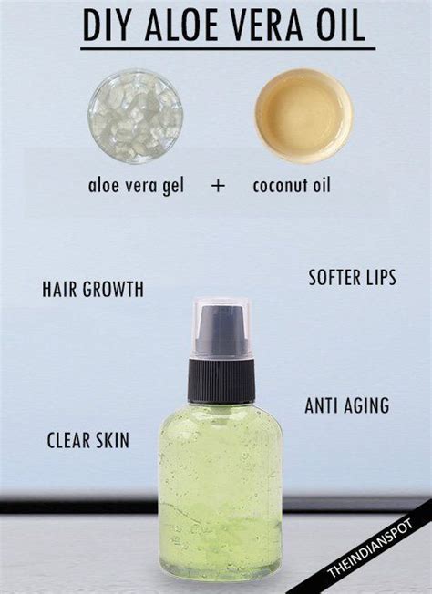 Jojoba oil helps to moisturize the hair follicles and make the hair strands stronger and healthier. Aloe Vera different uses and benefits | | Just Trendy Girls