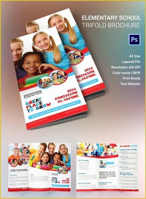 Elementary School Brochure Template Free Of Education Brochure Template