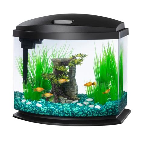 Aqueon Black 5 Gallon Led Minibow Smartclean Kit Petco Aquarium Kit