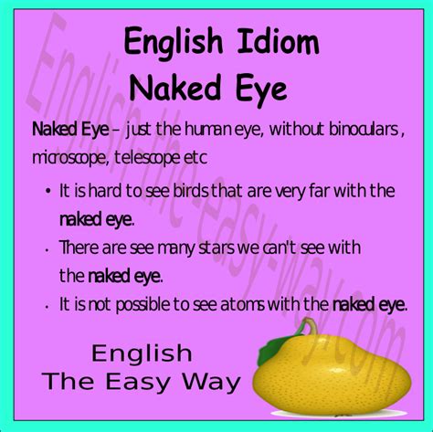 Pin On English Idioms