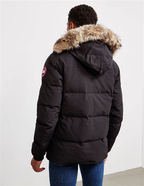 Canada Goose Goose Wyndham Padded Parka Jacket Black For Men Lyst