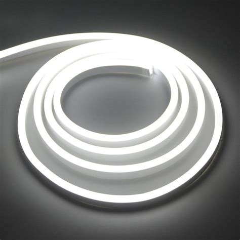 2020 220v Neon Lights Rgb White Warm White Waterproof Flexible Led
