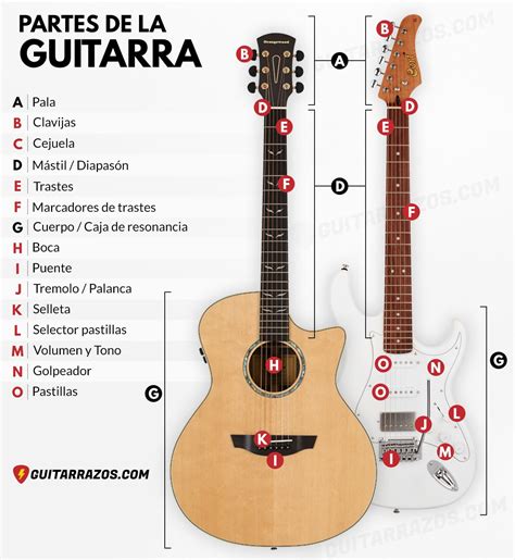Fagy A Tanár Napja Nő Cuales Son Las Partes De La Guitarra Nagy
