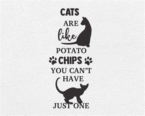 Cats Are Like Potato Chips Svg Funny Cat Svg Svg Files Svg Etsy