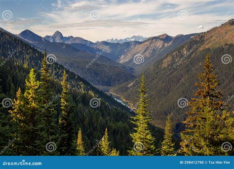 Golden Larches At Frosty Mountain Manning Park Bc Canada Stock Photo