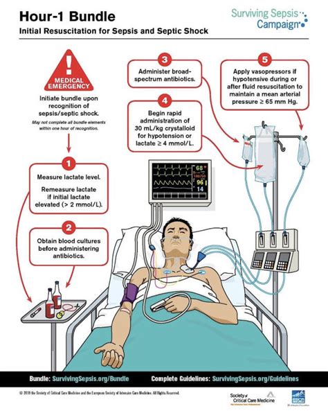 Sepsis And Septic Shock Definitions Nurse Your Own Way