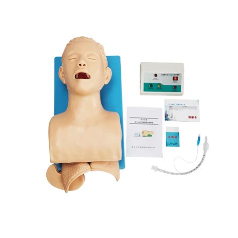 Head Endotracheal Intubation Model Buy Intubation Model Endotracheal