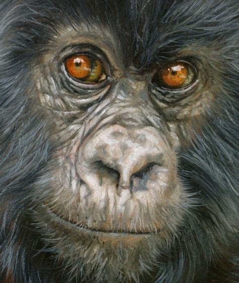 Mountain Gorilla New David Stribbling Oil Painting Wild Animals