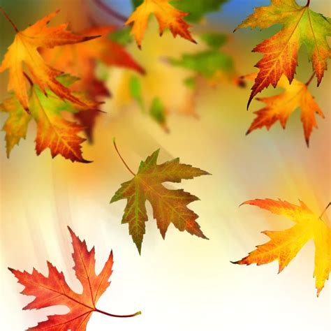 Falling Autumn Leaves — Stock Photo 10686458