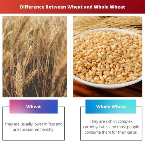 Wheat Vs Whole Wheat Difference And Comparison