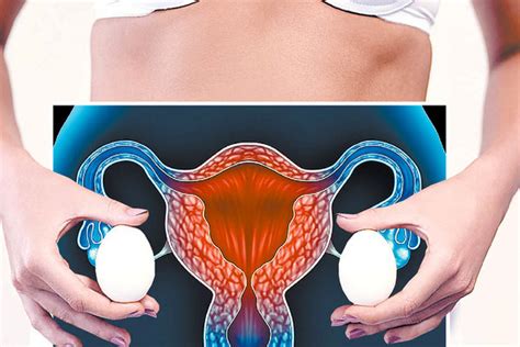 Functional Ovarian Cyst Dangerous Complications Symptoms And Treatment