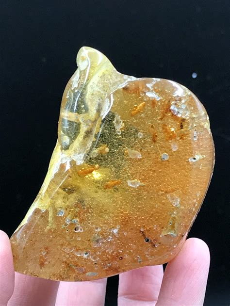 Amber Fossil Natural Collectible Mineral Specimen