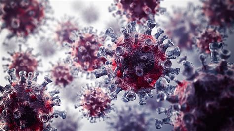 An official website of the national institutes of health. New evidence shows D614G increases infectivity of COVID-19 ...