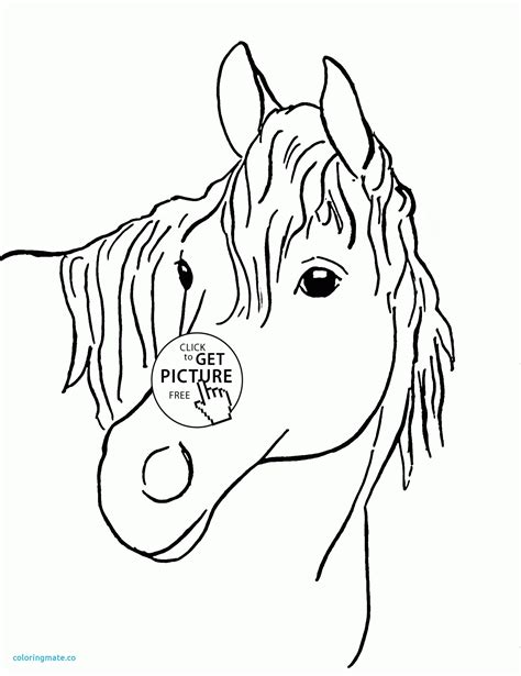 Horse Head Coloring Pages To Print At Free Printable
