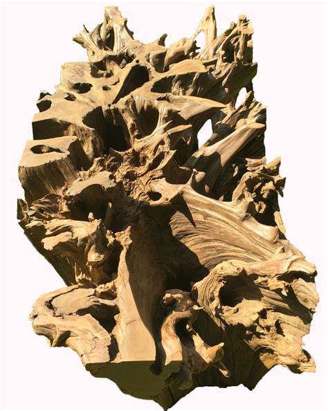 30h x 48w x 35d. TREE ROOT TABLE BASES - Phases Africa | African Decor ...