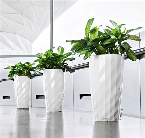 Striking White Lechuza Diamante Planters Available At Newprocontainers