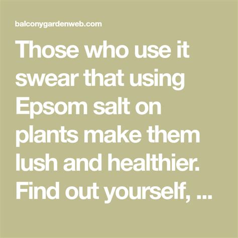 13 Epsom Salt Uses In Garden Thatll Amaze You With Images Epsom